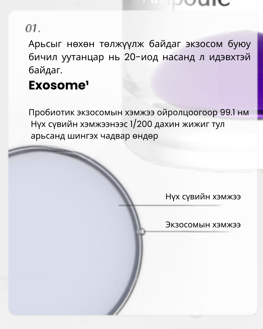 t:aim exorn ampoule (pdrn) Арьс нөхөн төлжүүлэх, үрчлээний эсрэг ампул, 30мл t:aim exorn ampoule (pdrn) Арьс нөхөн төлжүүлэх, үрчлээний эсрэг ампул, 30мл